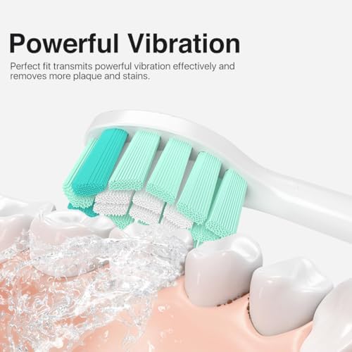 Replacement Toothbrush Heads for Philips Sonicare Replacement Heads C1,4100,G2,C2,Replacement Brush Head Compatible with Phillips Sonicare Electric Toothbrush C2,C1,4100,for Philips Sonic Care Brush