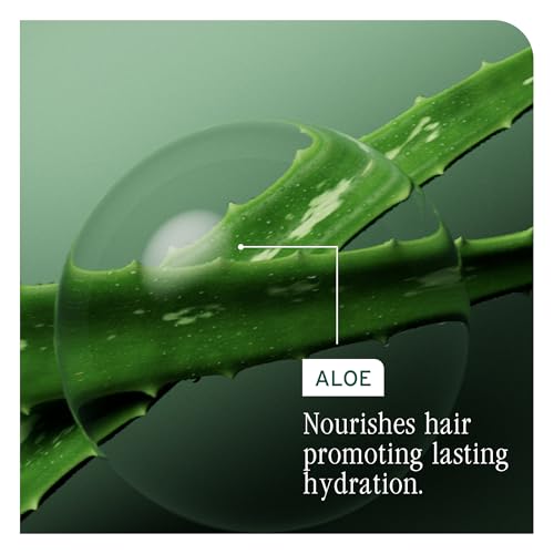 Biolage Hydra Source Leave-In Cream - Instantly Moisturizes & Seals Split Ends, For Dry Hair, With Fermented Aloe & Micro-Filtered Hyaluronic Acid