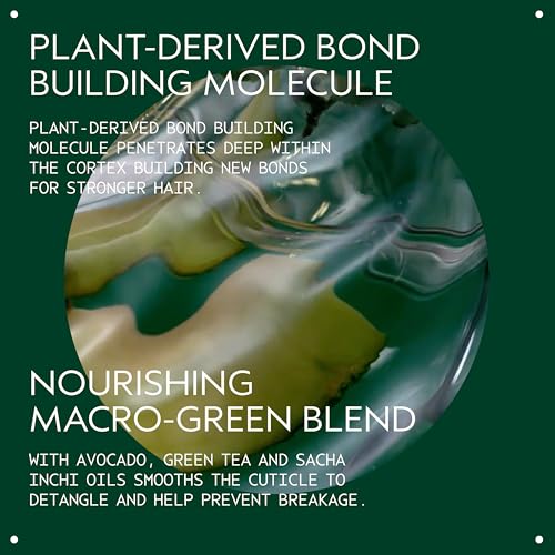 Aveda Botanical Repair Intensive Strengthening Masque Rich | Bond-Building Mask for Stronger Hair | Deep Conditioner | Detangles, Softens Medium to Thick Hair | 94% Naturally Derived*