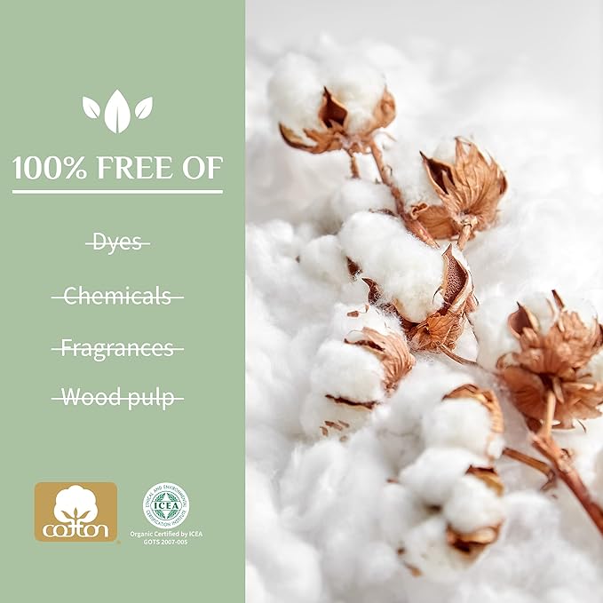 Organyc - 100% Certified Organic Cotton Feminine Pads - Sanitary Napkin with Wings for Women, Moderate Flow, Regular Absorbency, 60 Count (6 Pack of 10 Count)