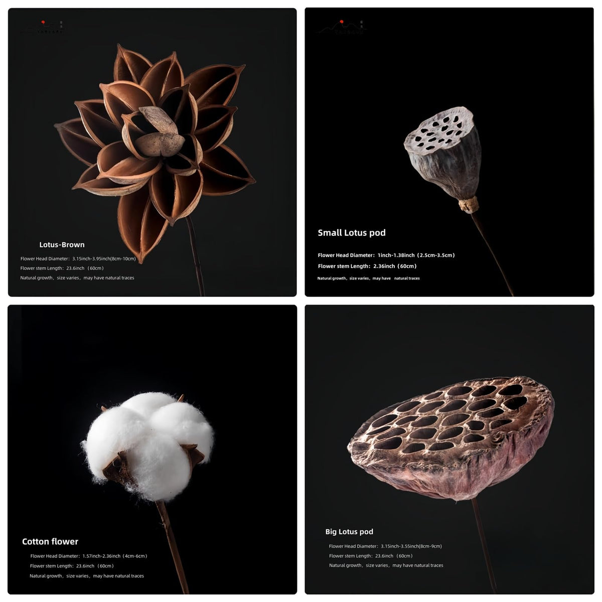 YAOBAOX 5004 Handmade Natural Dried Flowers Decor, for Modem Home Table Vase Decor, Farmhouse Party Floral for DIY Arrangement Props Gift Décor Ikebana (Flower Head and stem are Separate)