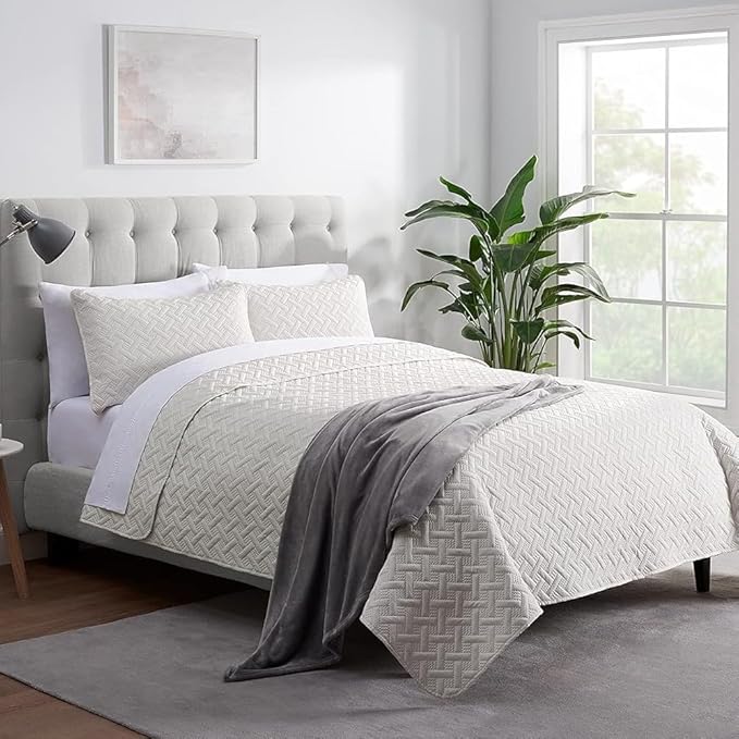 SERTA Cozy Plush Thick Fuzzy Super Soft Lightweight Throw Blanket for Bed, Couch, or Travel, Standard (50 in x 60 in), Grey