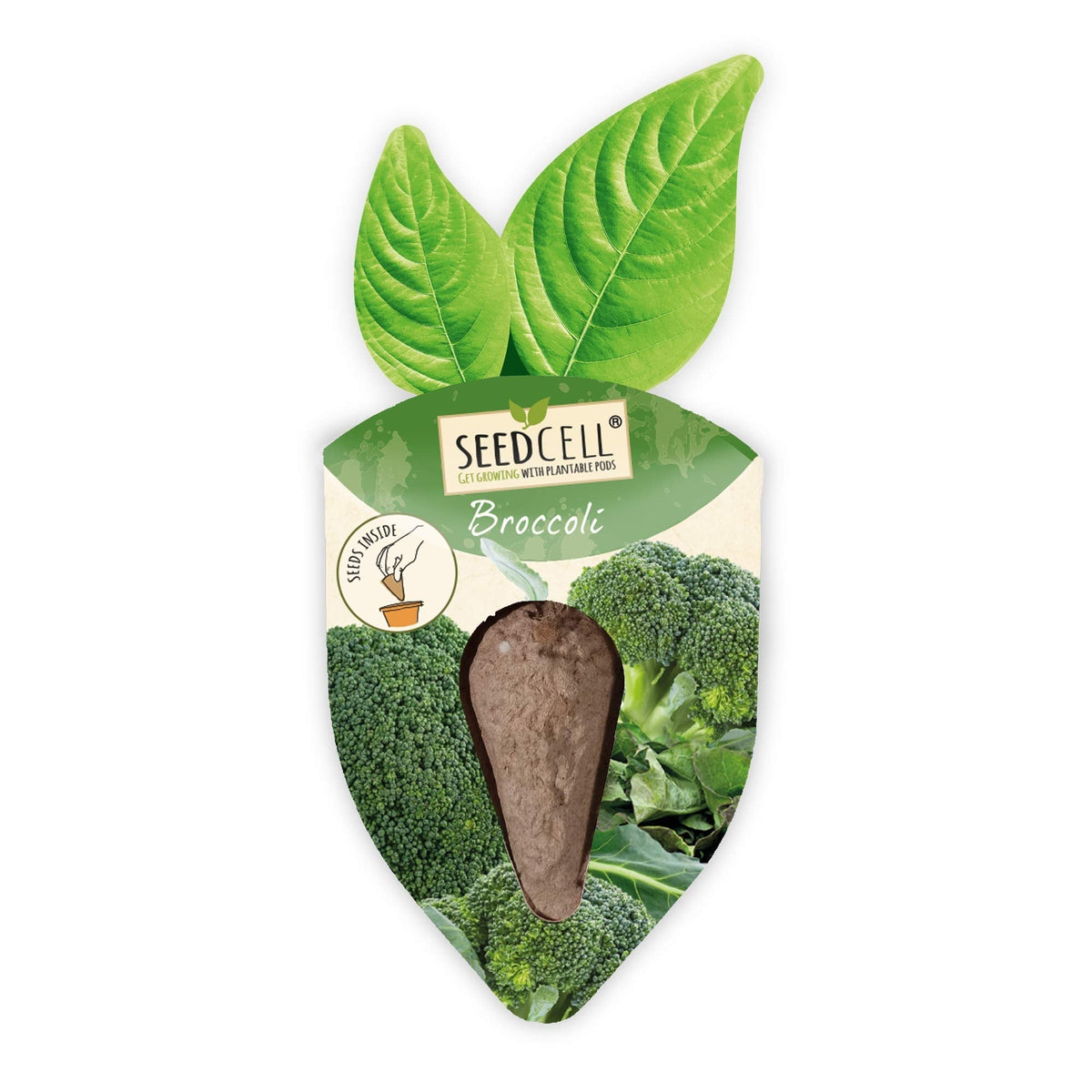 Vegtrug Seed Pods Kit - Vegetable Patch, Non-GMO Seeds with Fully Biodegradable Seed Pods, Contains Seeds of Broccoli, Zucchini, Pumpkin, and Butternut Squash, Pack of 1