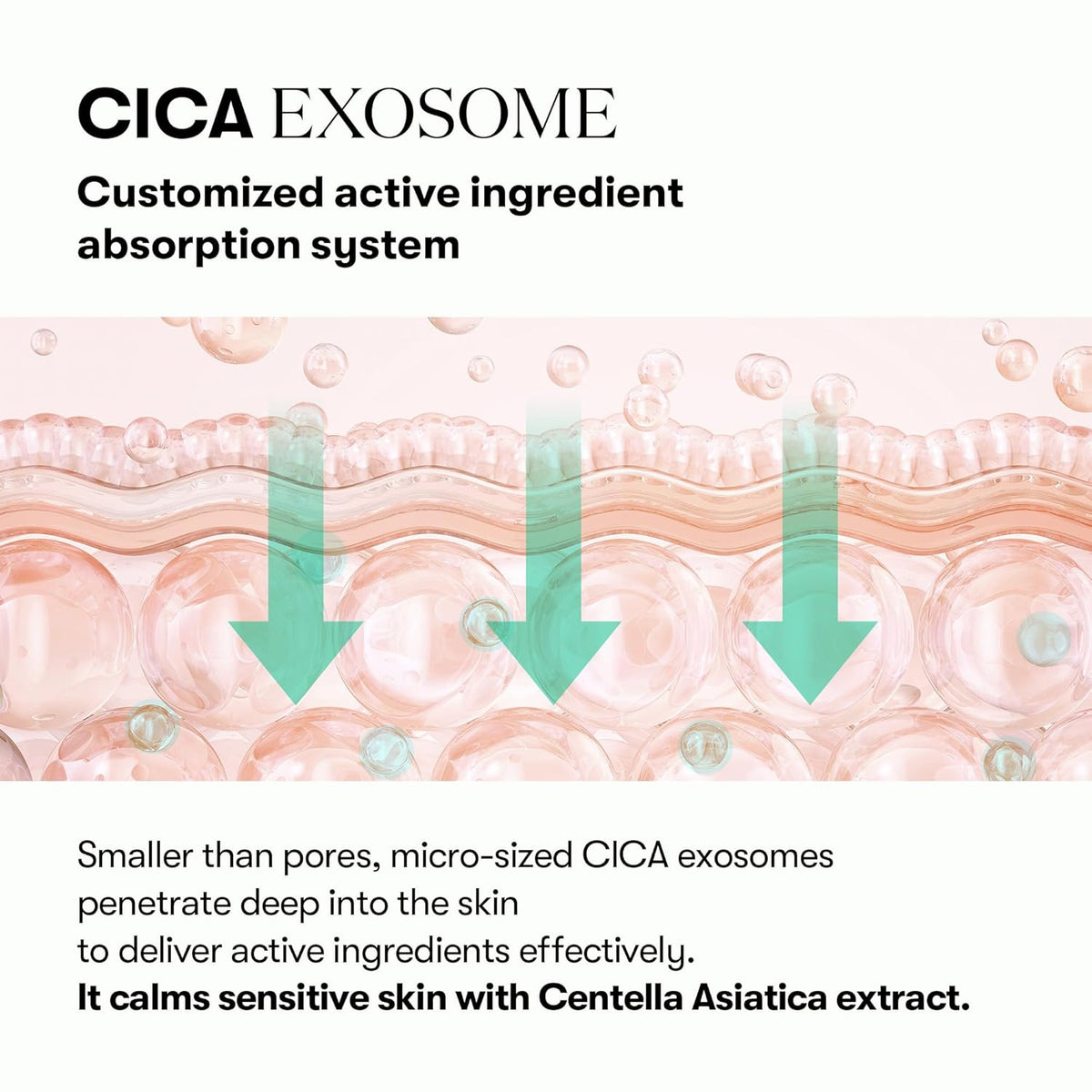 VT COSMETICS PDRN Cica Exosome Ampoule, Firming Serum with Peptide & Ceramide for Anti-Aging, Wrinkle Care, Plumping, Hydration & Radiant Glow, For All Skin Types, Korean Skincare (1.01 fl. oz.)