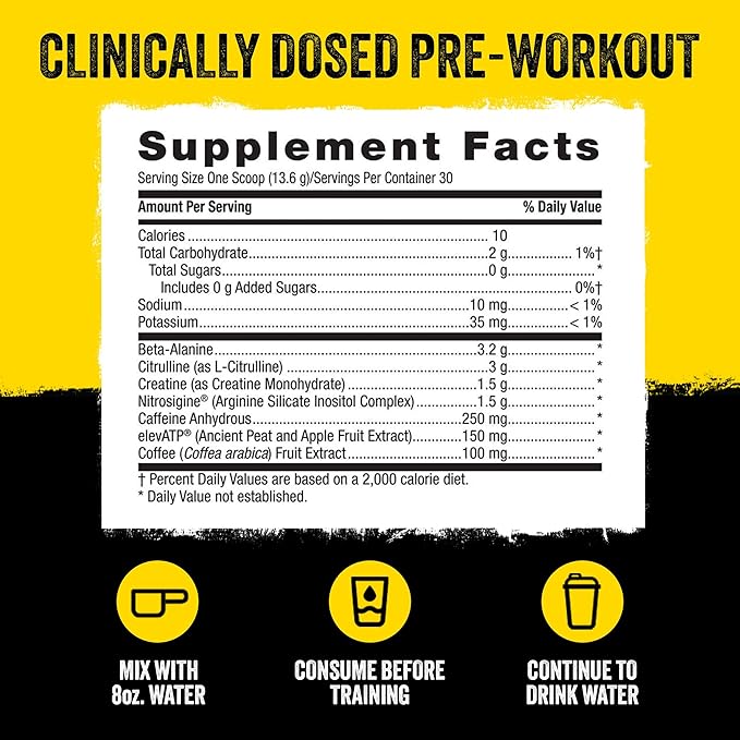 Beyond Raw LIT PreWorkout Powder Supplement For Men and Women, Energy, Focus, Endurance, Pumps, Nitric Oxide Boost, 250mg Caffeine, Creatine, Beta Alanine, Fruit Punch, 30 Servings