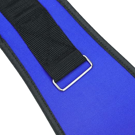 Back Support Lumbar Support Belt Lower Back Brace for Pain Relief Sciatica Herniated Disc Scoliosis Posture Correction Adjustable Mesh Support Straps for Men Women Fitness Waist Protection (Blue, M)