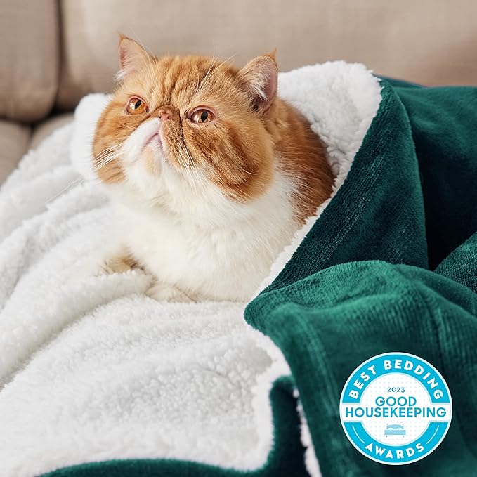Bedsure Sherpa Fleece Blankets King Size for Bed - Thick and Warm, Soft Fuzzy Plush King Blanket for Winter, Forest Green, 108x90 Inches