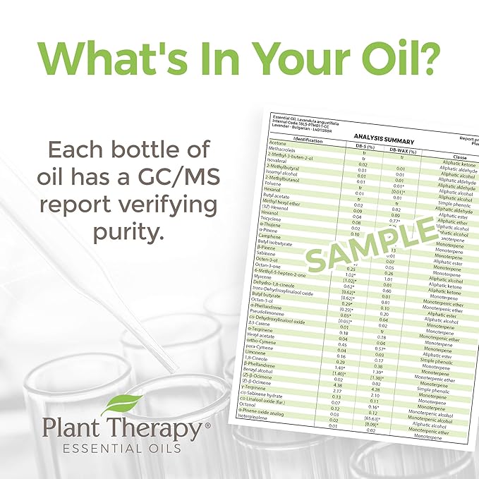 Plant Therapy Hocus Focus KidSafe Essential Oil Blend Pre-Diluted Roll-On 10 mL (1/3 oz) Pure, Therapeutic Grade - Kids Blend for Focus