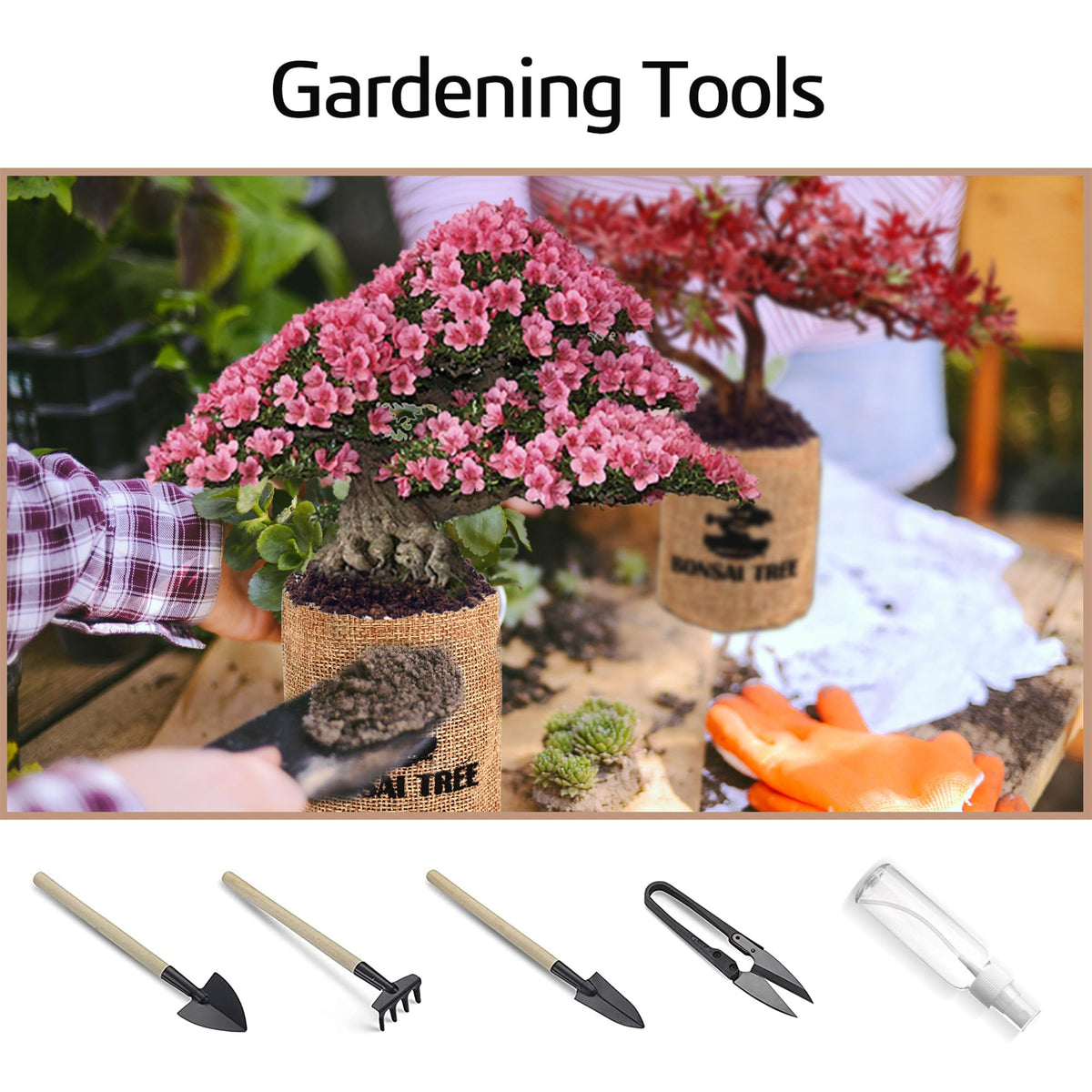 Sproutix Indoor Bonsai Garden Starter Kit, 5 Seeds Growing into Red Maple, Wisteria, Black Pine, Judas Tree, Acacia, Including Complete Gardening Planters & A Wooden Box, Christmas Gifts for Women