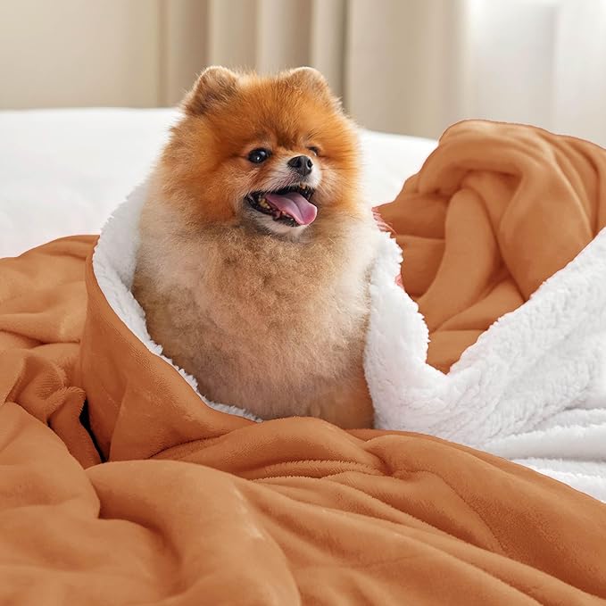 Bedsure Sherpa Fleece Blankets King Size for Bed - Thick and Warm, Soft Fuzzy Plush King Blanket for Winter, Burnt Orange, 108x90 Inches