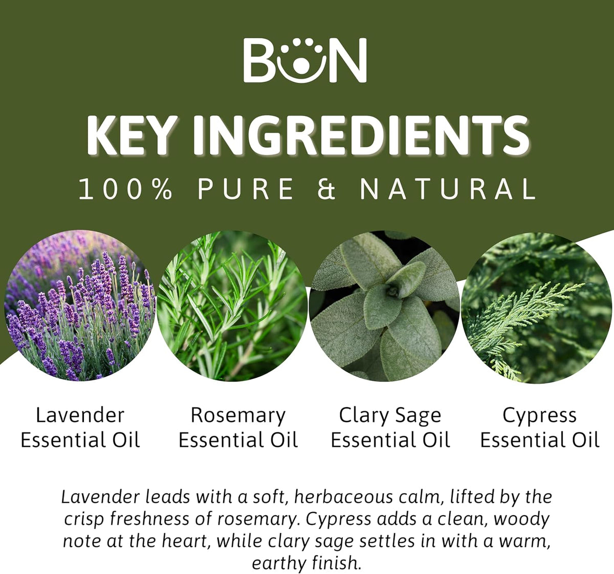 Best of Nature Memory Essential Oil Blend – 100% Pure for Diffuser, Aromatherapy & Focus – Herbal, Refreshing Scent with Lavender, Rosemary, Cypress & Clary Sage